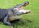 Florida theme park tickets and attractions