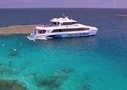 Great Barrier Reef Tours