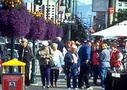 All Alaska tours, activities & things to do