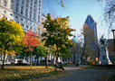 Montreal City Hop-on Hop-off Tour