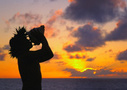 Maui suggested itineraries