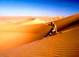 Dubai tours and attractions