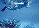 Key West tours, activities & attractions