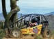 Phoenix Tours & Activities