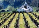 San Francisco Suggested Itineraries