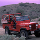 All tours, activities and things to do in Palm Springs