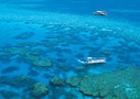 Great Barrier Reef Tours