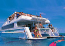 Great Barrier Reef Tours