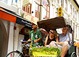 Tours, sightseeing and things to do in Singapore