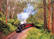 Melbourne Tours & Attractions