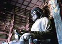 All tours, activities & things to do in Kyoto