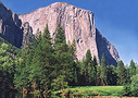 Yosemite tours, attractions and activities