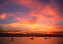 Darwin tours and activities