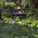 All things to do in Rotorua