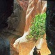 Tours and activites in Jordan