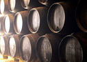 Wine Tour of the Barolo Region