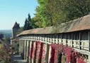 Romantic Road tours from Munich