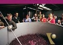 Yarra Valley Wine Experience