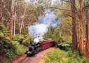 Yarra Valley Wineries & Puffing Billy Steam Train Tour