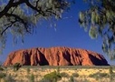 24 Hour Uluru Eco-Pass & Sounds of Silence Dinner