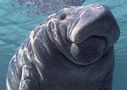 Florida Adventure Tour