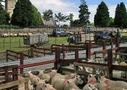 North Wales Tour: Mountains and Lakes
