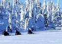 Midnight Sun at the Arctic Circle & Santa Claus Safari