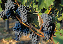 France Suggested Itineraries - Aquitaine and Bordeaux