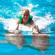 Dolphin Swim at Ocean World