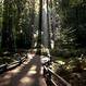 Tours and activities in San Francisco