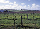 Perth Wine Tours Margaret River Wineries 2 day