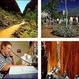 All things to do in Alice Springs