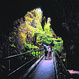 Big Island Hawaii Volcano Adventure