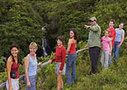 Kohala Country Waterfalls Adventure