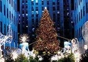 Holiday Lights Tour - New York City