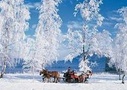 Christmas Horse Drawn Sleigh Ride - Salzburg, Austria
