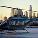 Hollywood & LA Helicopter Tour