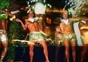 Sydney tours and activities