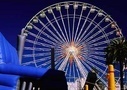 Nice tours and activities