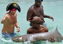 The Swim, Hold and Feed the Sharks Program