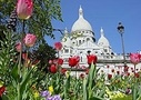 Paris by Minivan - City Tour, Seine River Cruise, Lunch at the Eiffel Tower