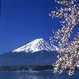 Mt Fuji tours and day trips from Tokyo