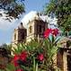 Texas tours and activities