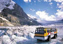 Athabasca Glacier Snow Trip