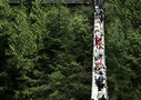 Capilano Suspension Bridge