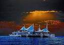 Sleep on the Great Barrier Reef