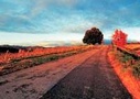Afternoon Tour to the Chianti Region