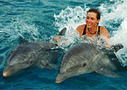 Orlando Tours, Attractions, & Activities