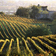 Bordeaux Wines Tour