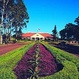 Oahu Grand Circle Island Tour with Dole Plantation